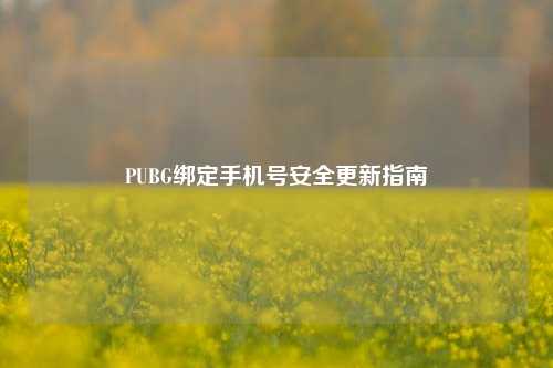 PUBG绑定手机号安全更新指南