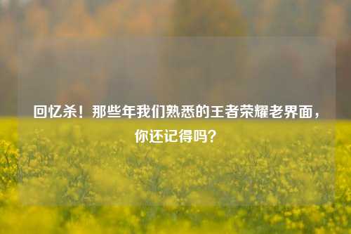 回忆杀！那些年我们熟悉的王者荣耀老界面，你还记得吗？
