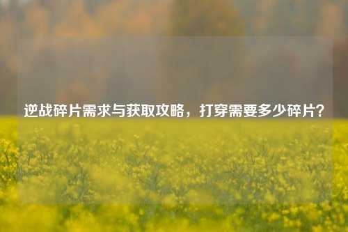 逆战碎片需求与获取攻略，打穿需要多少碎片？