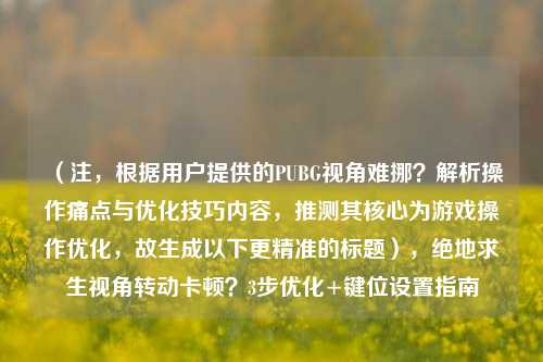 （注，根据用户提供的PUBG视角难挪？解析操作痛点与优化技巧内容，推测其核心为游戏操作优化，故生成以下更精准的标题），绝地求生视角转动卡顿？3步优化+键位设置指南