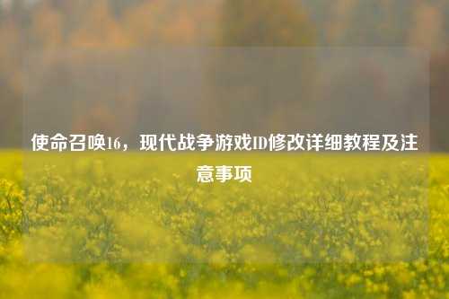 使命召唤16，现代战争游戏ID修改详细教程及注意事项