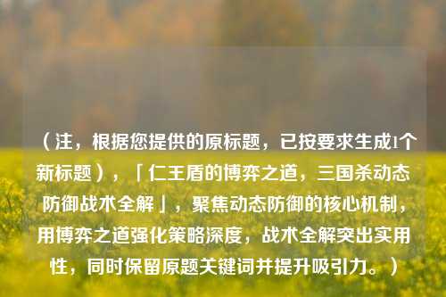 （注，根据您提供的原标题，已按要求生成1个新标题），「仁王盾的博弈之道，三国杀动态防御战术全解」，聚焦动态防御的核心机制，用博弈之道强化策略深度，战术全解突出实用性，同时保留原题关键词并提升吸引力。）