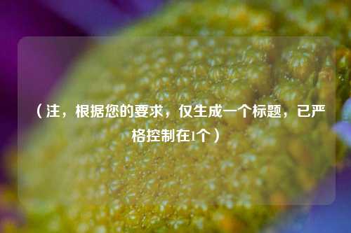 （注，根据您的要求，仅生成一个标题，已严格控制在1个）