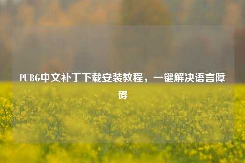 PUBG中文补丁下载安装教程，一键解决语言障碍