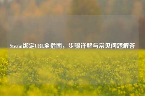 Steam绑定URL全指南，步骤详解与常见问题解答