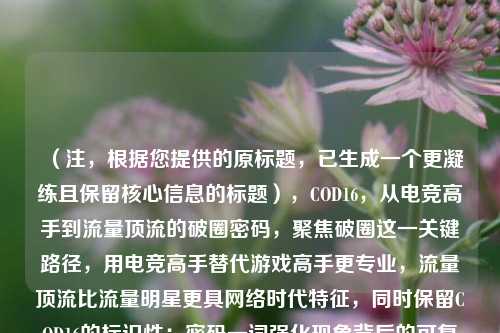 （注，根据您提供的原标题，已生成一个更凝练且保留核心信息的标题），COD16，从电竞高手到流量顶流的破圈密码，聚焦破圈这一关键路径，用电竞高手替代游戏高手更专业，流量顶流比流量明星更具 *** 时代特征，同时保留COD16的标识性；密码一词强化现象背后的可***性，吸引行业与玩家双重关注。）