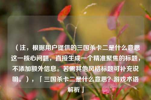 （注，根据用户提供的三国杀卡二是什么意思这一核心问题，直接生成一个精准聚焦的标题，不添加额外信息。若需其他风格标题可补充说明。），「三国杀卡二是什么意思？游戏术语解析」