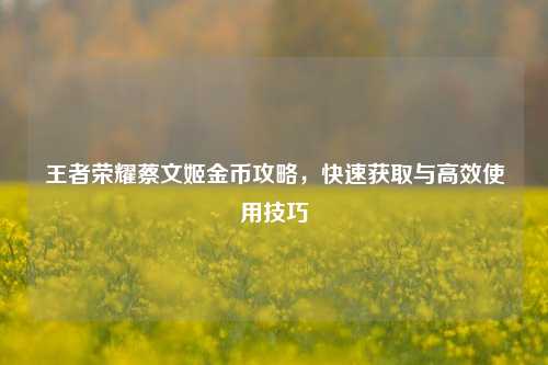 王者荣耀蔡文姬金币攻略，快速获取与高效使用技巧