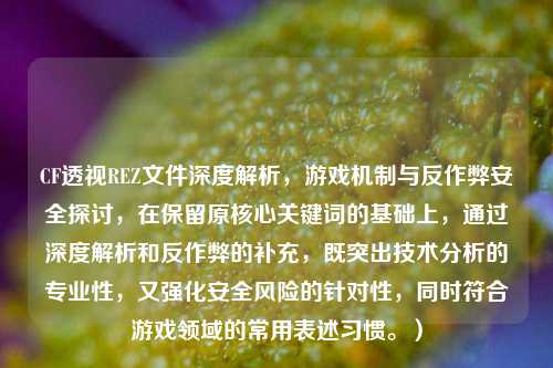 CF透视REZ文件深度解析，游戏机制与反作弊安全探讨，在保留原核心关键词的基础上，通过深度解析和反作弊的补充，既突出技术分析的专业性，又强化安全风险的针对性，同时符合游戏领域的常用表述习惯。）
