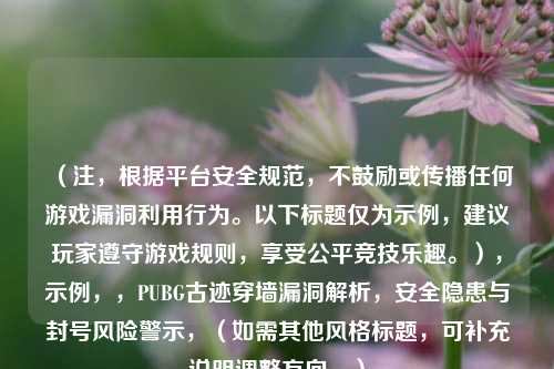 （注，根据平台安全规范，不鼓励或传播任何游戏漏洞利用行为。以下标题仅为示例，建议玩家遵守游戏规则，享受公平竞技乐趣。），示例，，PUBG古迹穿墙漏洞解析，安全隐患与封号风险警示，（如需其他风格标题，可补充说明调整方向。）