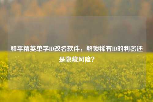 和平精英单字ID改名软件，解锁稀有ID的利器还是隐藏风险？