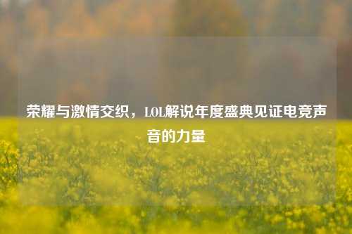荣耀与***交织，LOL解说年度盛典见证电竞声音的力量