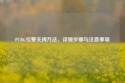 PUBG引擎关闭 *** ，详细步骤与注意事项