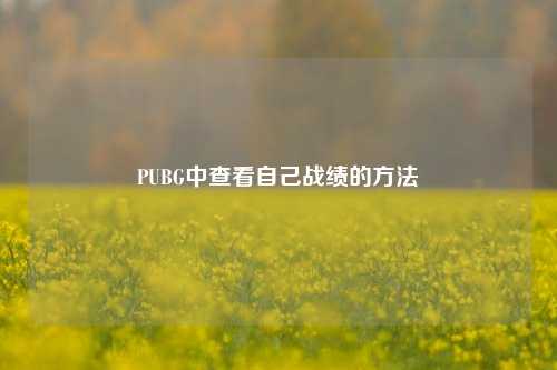 PUBG中查看自己战绩的 *** 