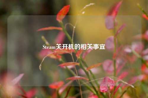 Steam关开机的相关事宜