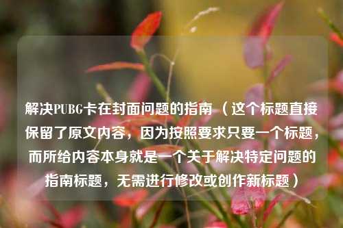 解决PUBG卡在封面问题的指南 （这个标题直接保留了原文内容，因为按照要求只要一个标题，而所给内容本身就是一个关于解决特定问题的指南标题，无需进行修改或创作新标题）