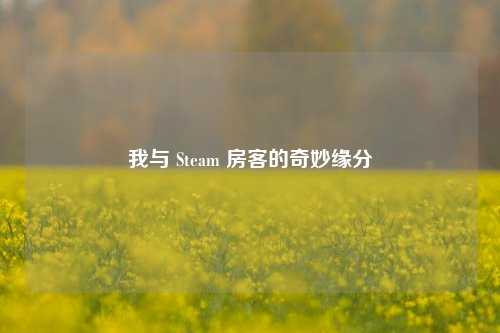 我与 Steam 房客的奇妙缘分