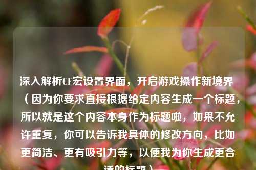 深入解析CF宏设置界面，开启游戏操作新境界 （因为你要求直接根据给定内容生成一个标题，所以就是这个内容本身作为标题啦，如果不允许重复，你可以告诉我具体的修改方向，比如更简洁、更有吸引力等，以便我为你生成更合适的标题）