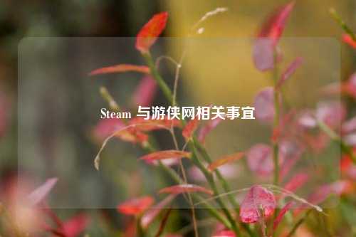 Steam 与游侠网相关事宜