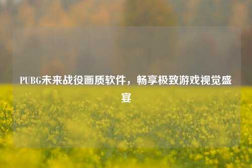 PUBG未来战役画质软件，畅享极致游戏视觉盛宴