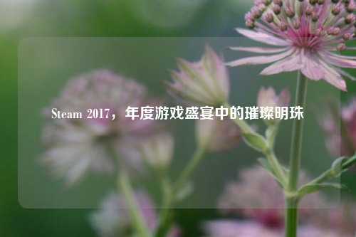 Steam 2017，年度游戏盛宴中的璀璨明珠