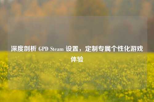 深度剖析 GPD Steam 设置，定制专属个性化游戏体验