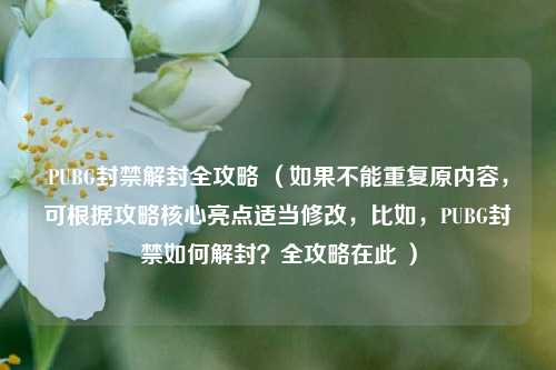 PUBG封禁解封全攻略 （如果不能重复原内容，可根据攻略核心亮点适当修改，比如，PUBG封禁如何解封？全攻略在此 ）