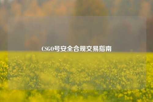 CSGO号安全合规交易指南