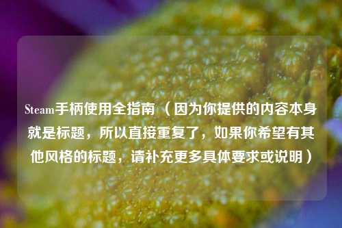Steam手柄使用全指南 （因为你提供的内容本身就是标题，所以直接重复了，如果你希望有其他风格的标题，请补充更多具体要求或说明）