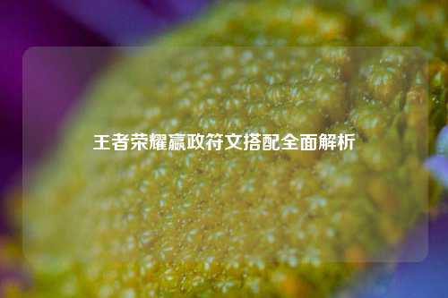 王者荣耀嬴政符文搭配全面解析