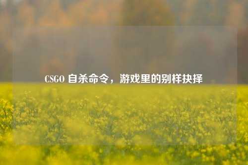 CSGO 自杀命令，游戏里的别样抉择