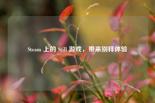 Steam 上的 Still 游戏，带来别样体验
