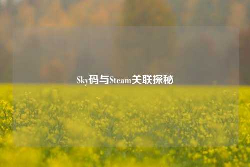 Sky码与Steam关联探秘
