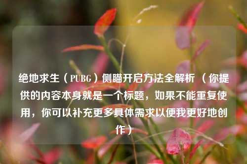 绝地求生（PUBG）侧瞄开启 *** 全解析 （你提供的内容本身就是一个标题，如果不能重复使用，你可以补充更多具体需求以便我更好地创作）