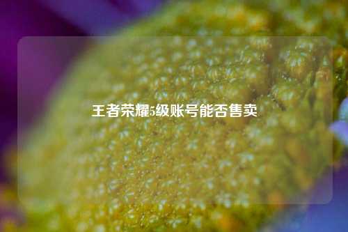 王者荣耀5级账号能否售卖