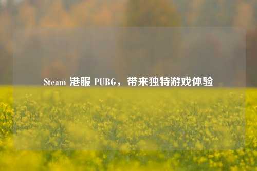 Steam 港服 PUBG，带来独特游戏体验