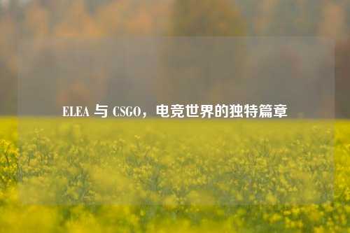 ELEA 与 CSGO，电竞世界的独特篇章