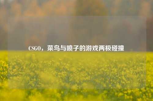 CSGO，菜鸟与喷子的游戏两极碰撞