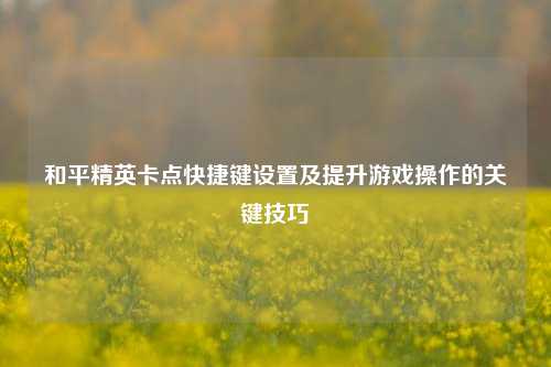 和平精英卡点快捷键设置及提升游戏操作的关键技巧