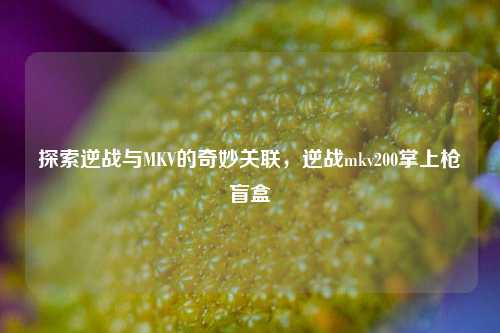 探索逆战与MKV的奇妙关联,逆战mkv200掌上枪盲盒