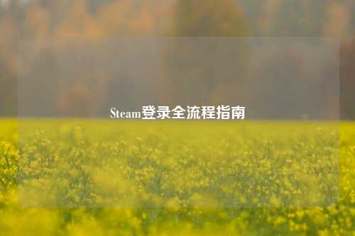 Steam登录全流程指南