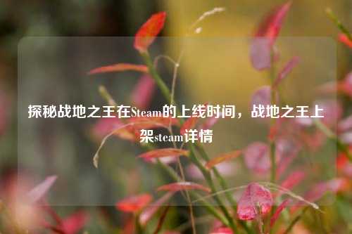 探秘战地之王在Steam的上线时间,战地之王上架steam详情
