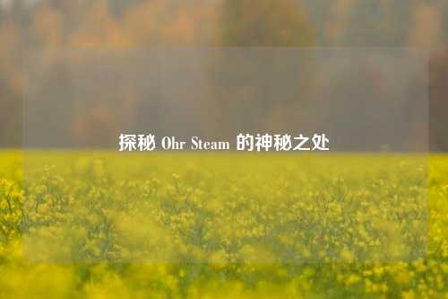 探秘 Ohr Steam 的神秘之处