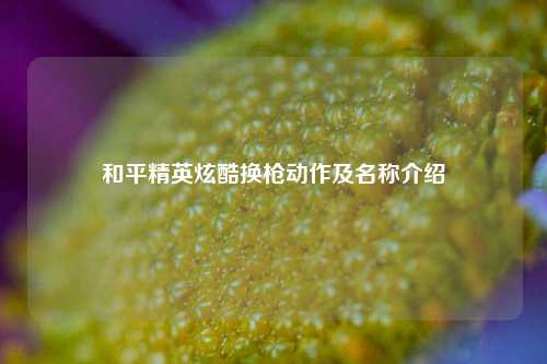 和平精英炫酷换枪动作及名称介绍