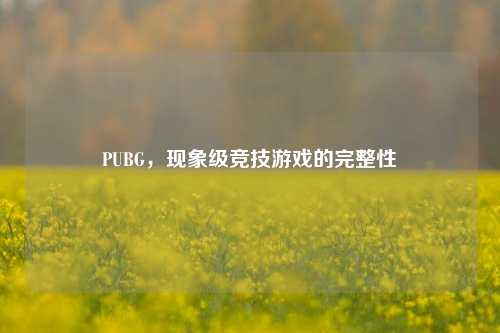 PUBG,现象级竞技游戏的完整性