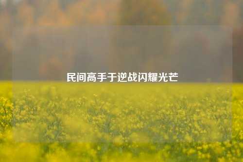 民间高手于逆战闪耀光芒