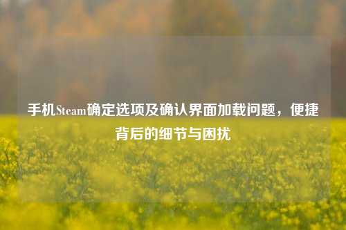 手机Steam确定选项及确认界面加载问题，便捷背后的细节与困扰