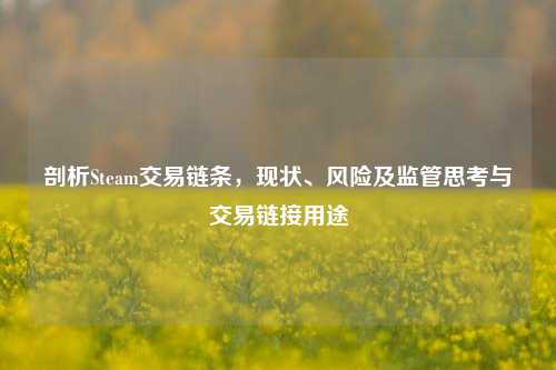 剖析Steam交易链条,现状、风险及监管思考与交易链接用途