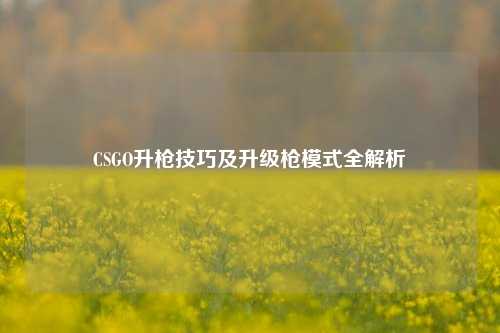 CSGO升枪技巧及升级 *** 式全解析