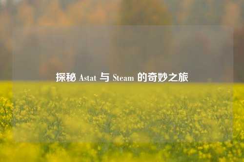 探秘 Astat 与 Steam 的奇妙之旅